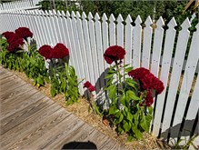 012_Harriet_Dean_House