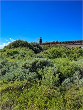 16-DryTortugas