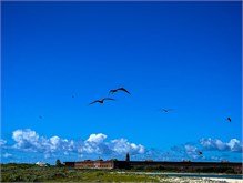 29-DryTortugas