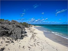31-DryTortugas