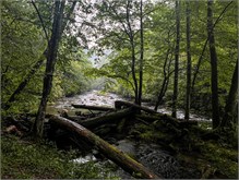 003_Deep-Creek-Hike
