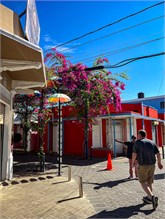 09-Puerto_Plata-DR