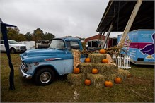 Pauline_Car_Show-49