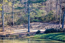 11182022_Falling_Creek-10