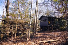 11182022_Falling_Creek-18