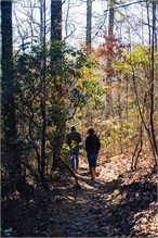 11182022_Falling_Creek-2