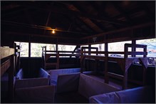11182022_Falling_Creek-21