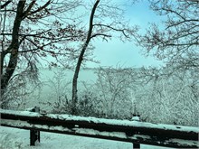 Christmas_2022-15