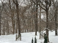 Christmas_2022-79