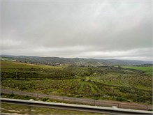 34-Malaga-Spain