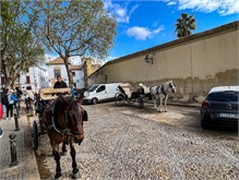 18-Cordoba