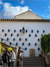 30-Cordoba