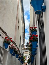 37-Cordoba