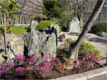 03JardinJaponais