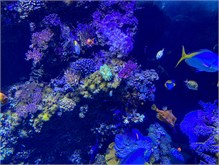 06Musee_Oceanography