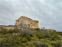 35Malta