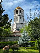 37-Plovdiv