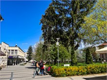 11-Kyustendil_Bulgaria