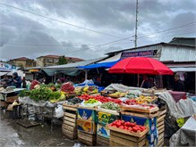29-Sheki