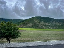 08-Baku-2-Sheki