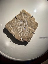07-Gobustan