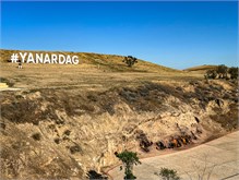 01-Ynardag