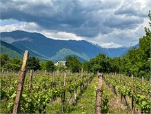 01-Begaso-Winery-Kakheti