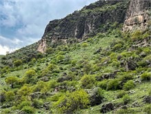 10-Vardzia