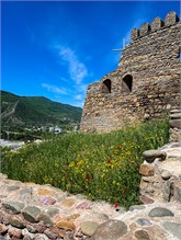 15-Gori-Fortress