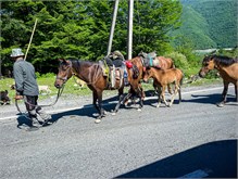 40-Georgia-Military-hwy