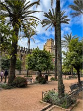 005-04-Cordoba