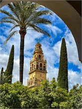 013-63-Mosque-Cathedral