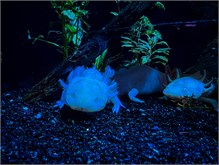 021-18Musee_Oceanography