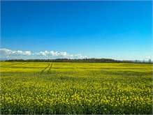 072-04-Prahova-Valley