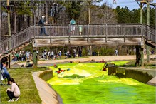 25-USNWC-Green-Water
