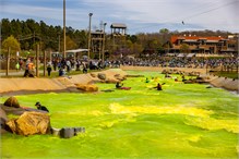 30-USNWC-Green-Water