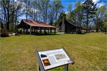22-Camden_SC