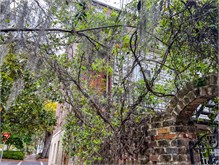 27-Savannah_GA