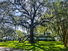 54-Beaufort_SC