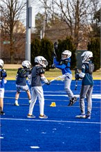 Lacrosse-6