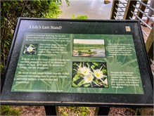 03-Landsford_Canal-2023