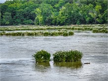 06-Landsford_Canal-2023