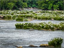 09-Landsford_Canal-2023