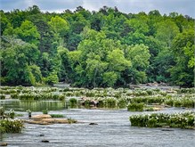 10-Landsford_Canal-2023