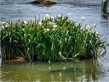 13-Landsford_Canal-2023