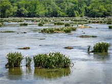 18-Landsford_Canal-2023