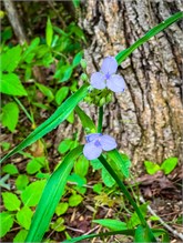 20-Landsford_Canal-2023