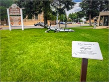 IMG_9764