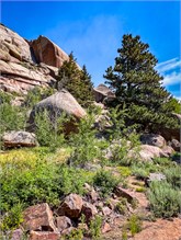 06-Vedauwoo2023
