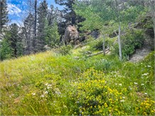 30-Vedauwoo2023